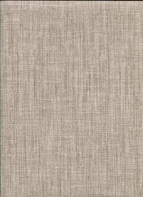 Papier peint - Uni marron