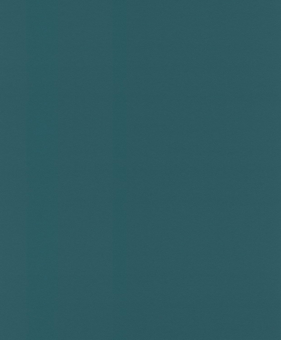 Uni bleu lisse - RASCH