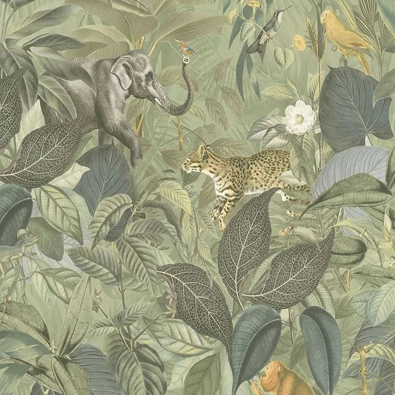 Papier peint - Animaux tropicaux