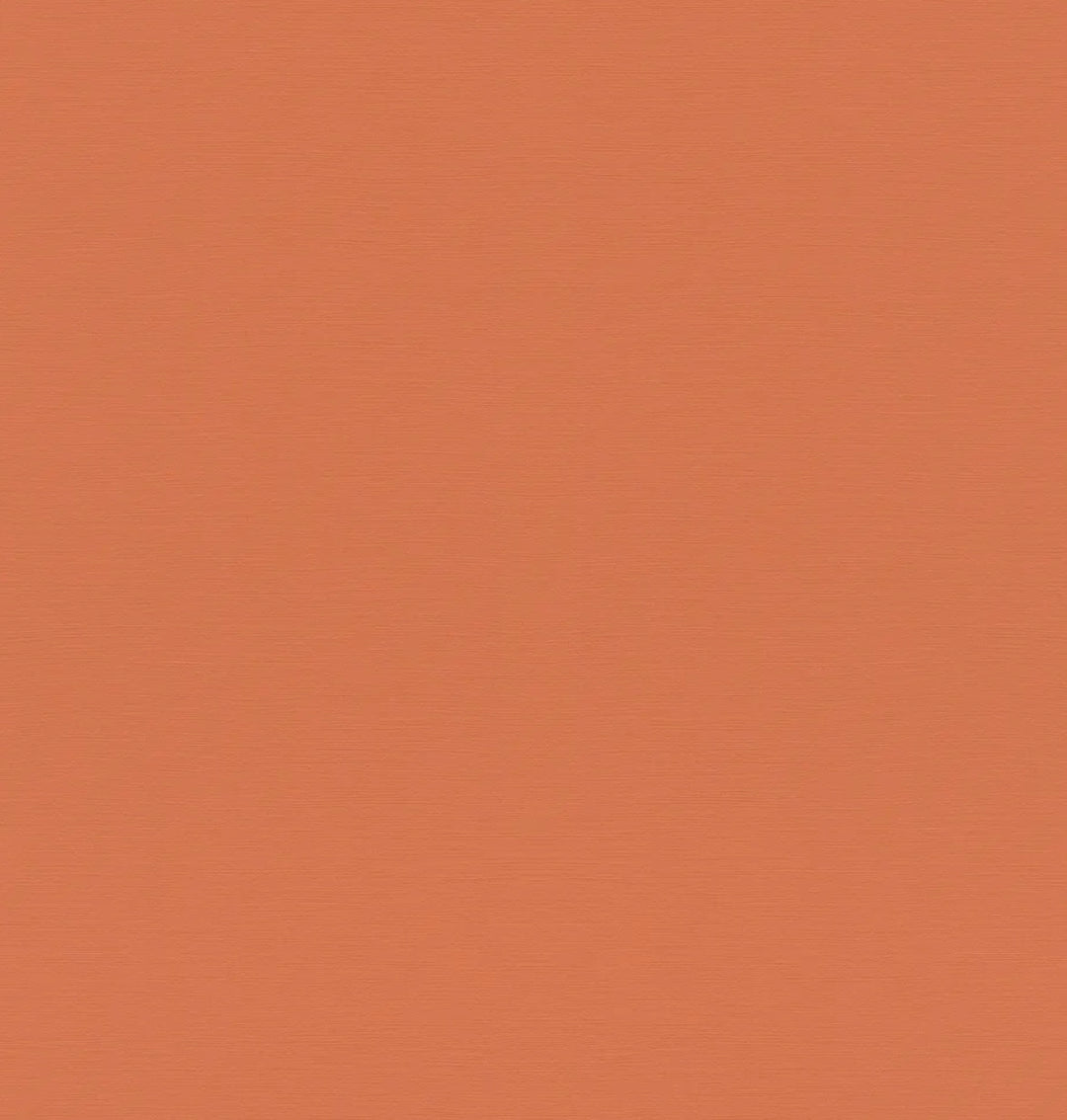 Papier peint - UNI ABRICOT