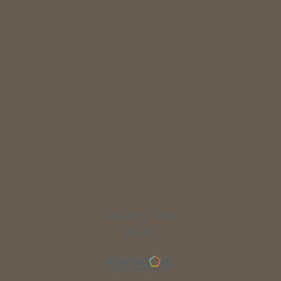 Peinture PEINTAGONE - PE0011 - COUNTRY CHIC