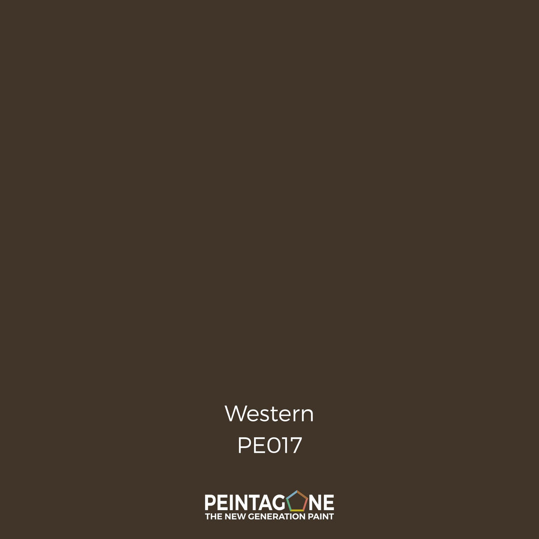 Peinture PEINTAGONE - PE0017 - WESTERN