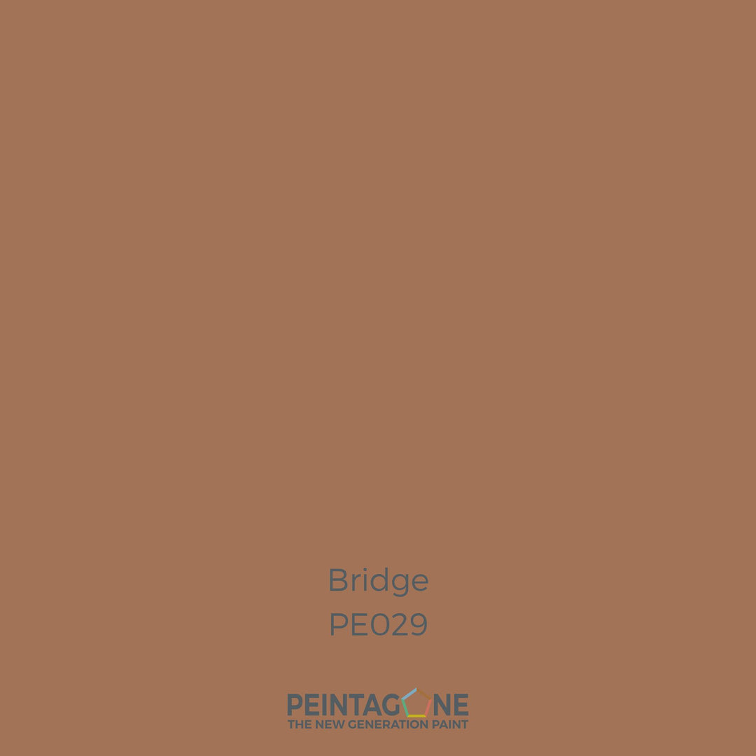 Peinture PEINTAGONE - PE0029 - BRIDGE