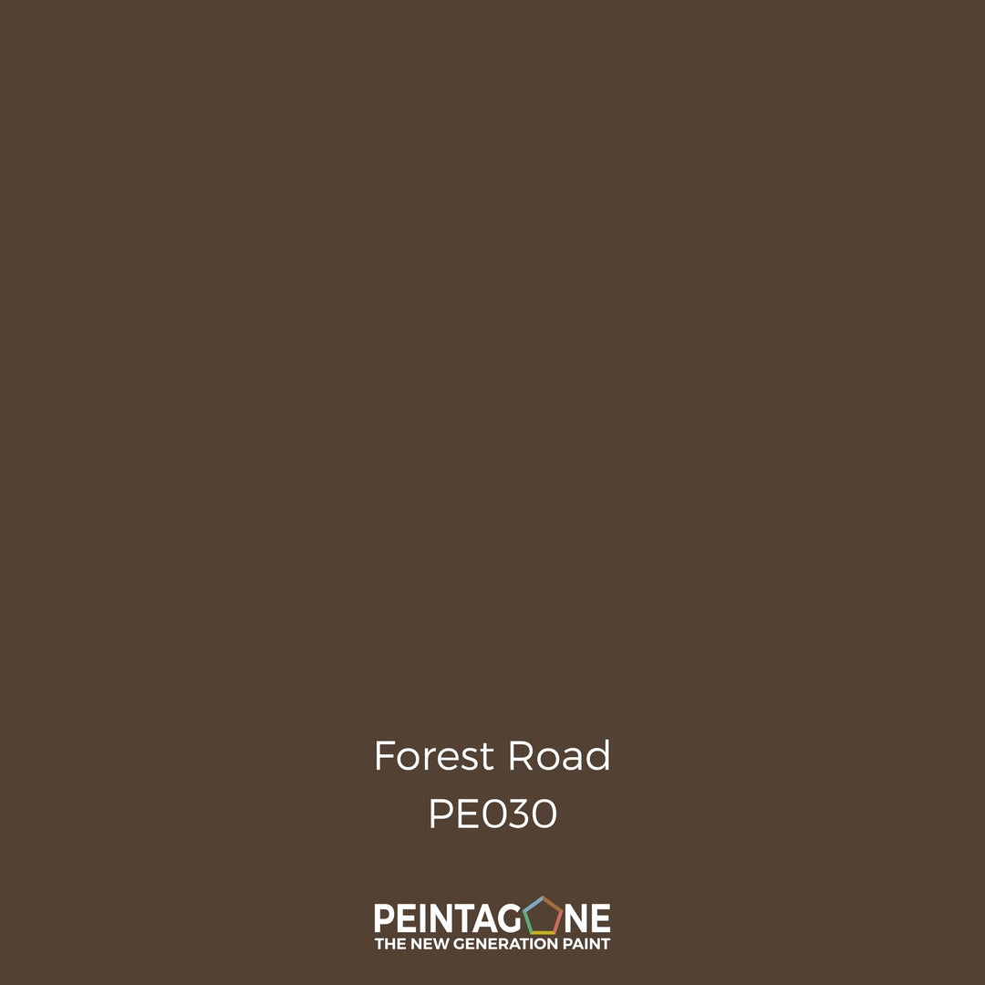 Peinture PEINTAGONE - PE0030 - FOREST ROAD