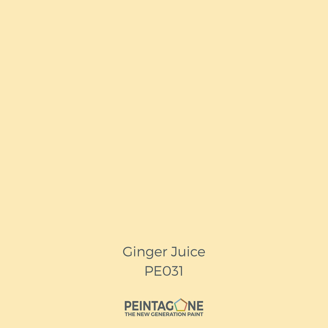Peinture PEINTAGONE - PE0031 - GINGER JUICE