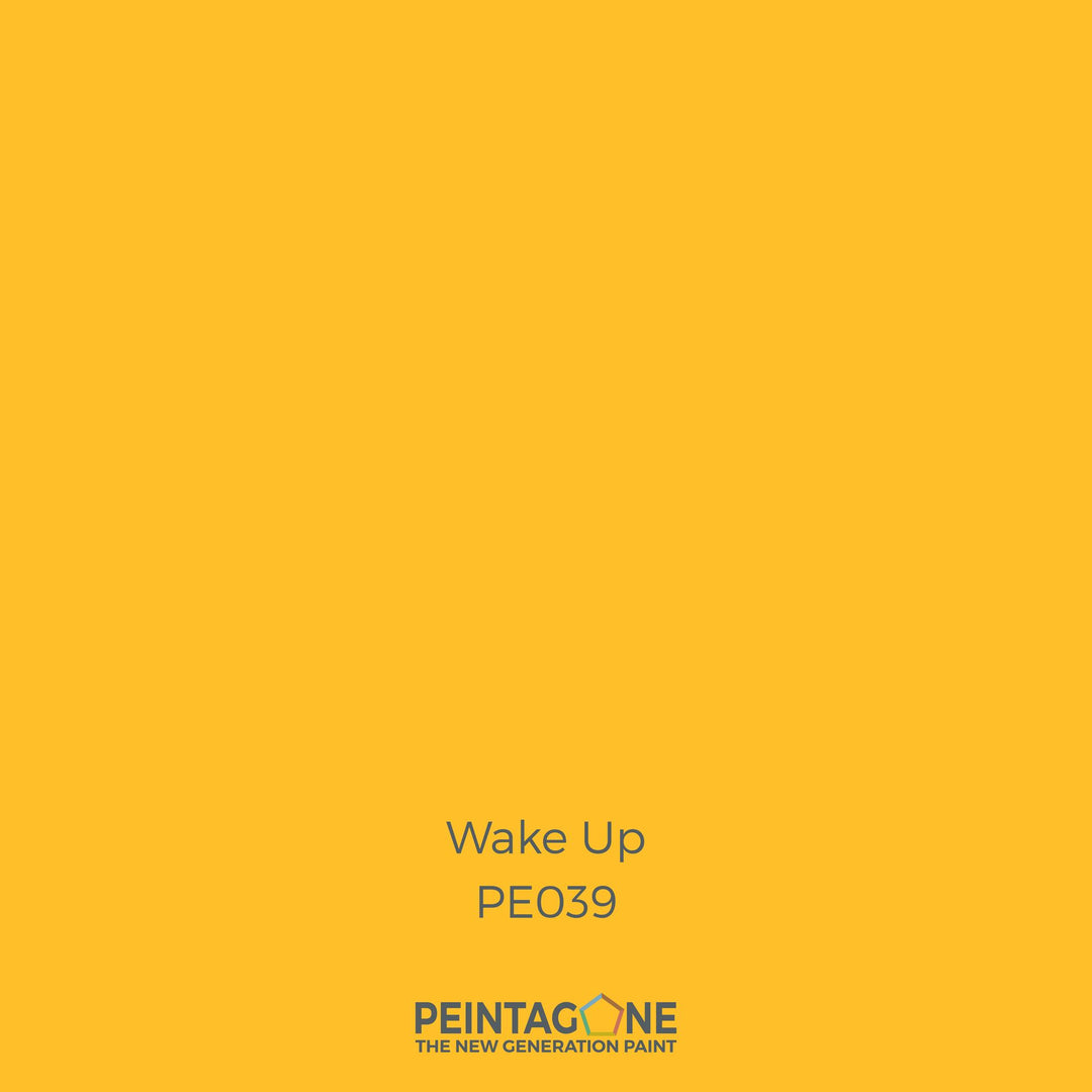 Peinture PEINTAGONE - PE0039 - WAKE UP