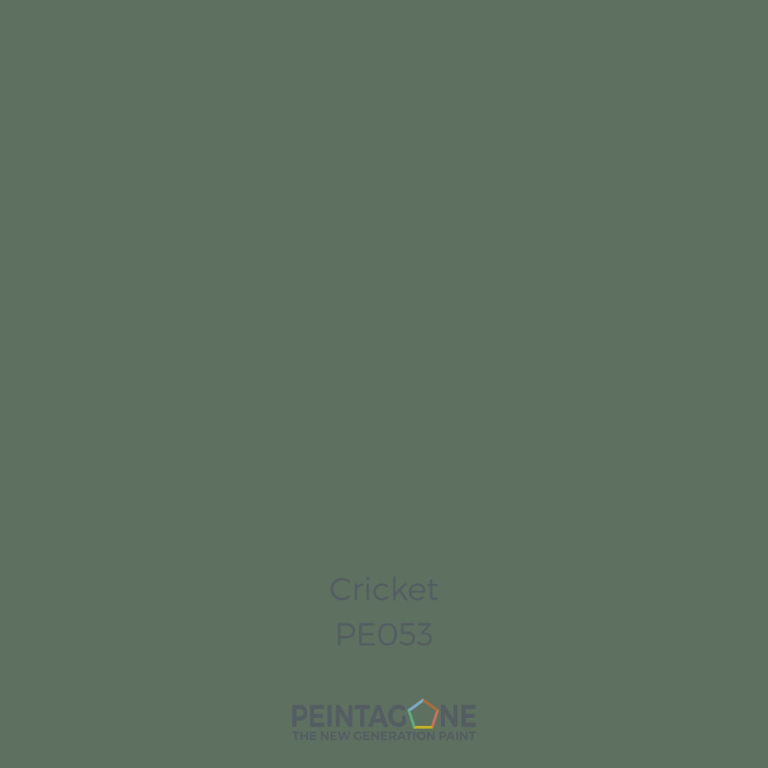 Peinture PEINTAGONE - PE0053 - CRICKET