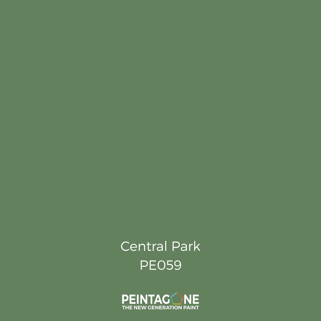 Peinture PEINTAGONE - PE0059 - CENTRAL PARK
