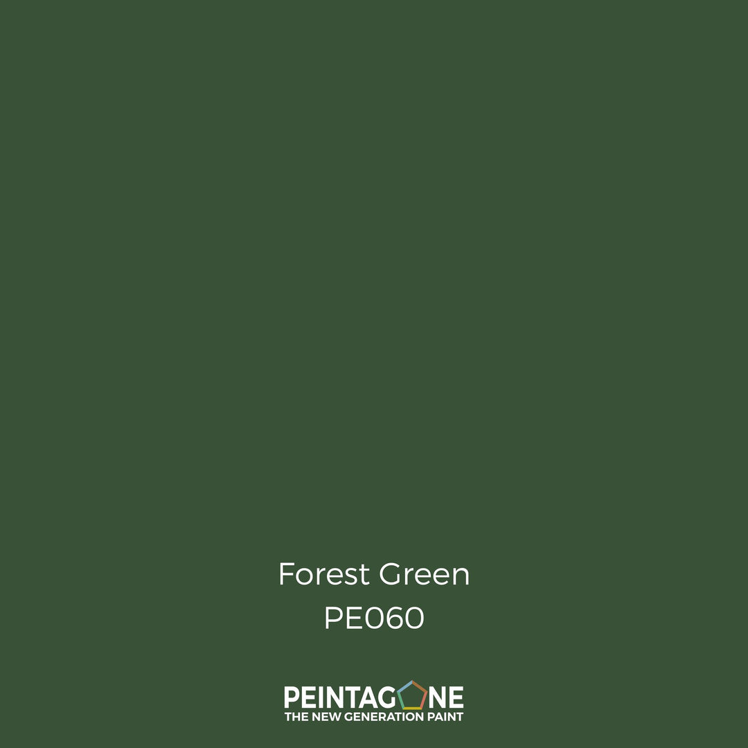 Peinture PEINTAGONE - PE0060 - FOREST GREEN