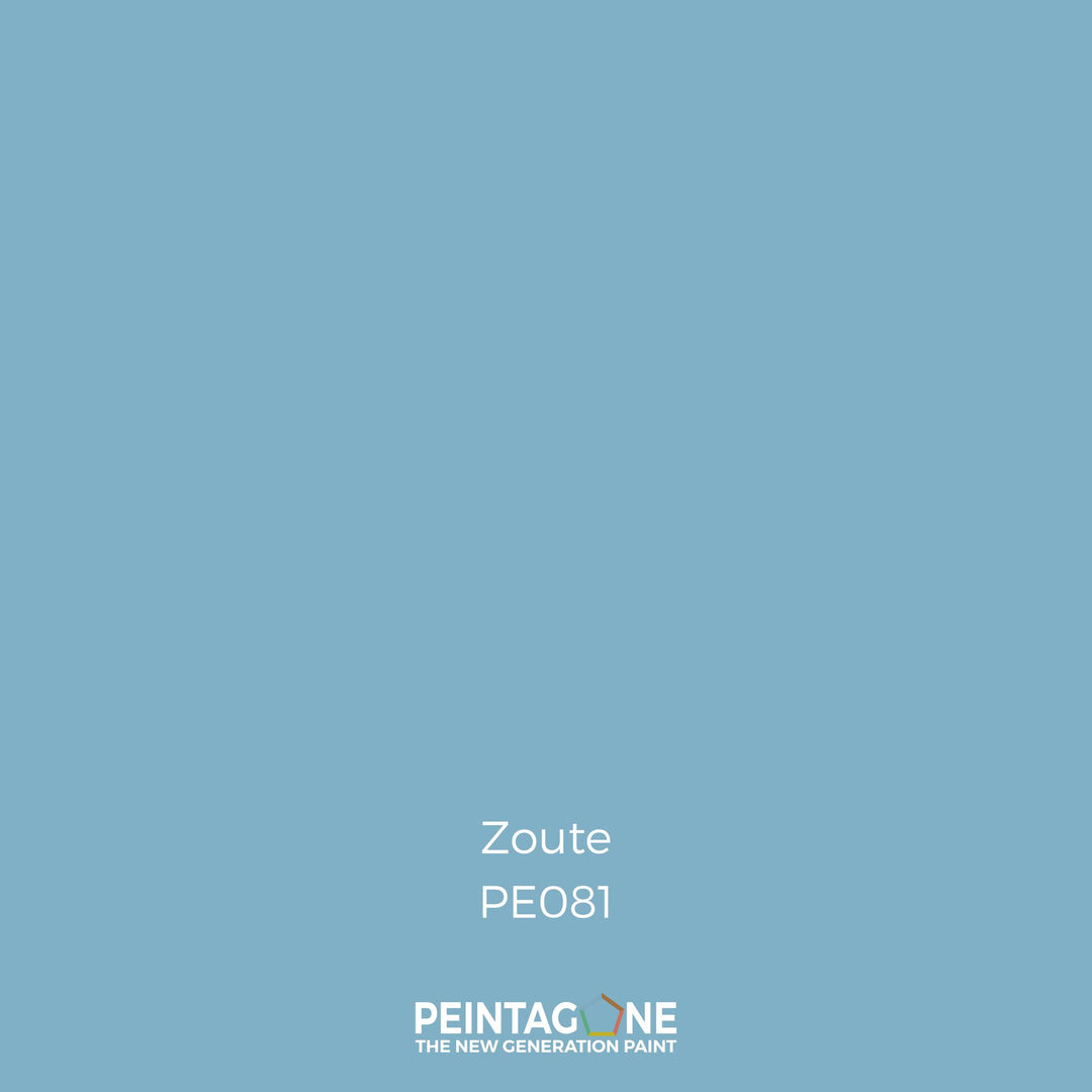 Peinture PEINTAGONE - PE0081 - ZOUTE