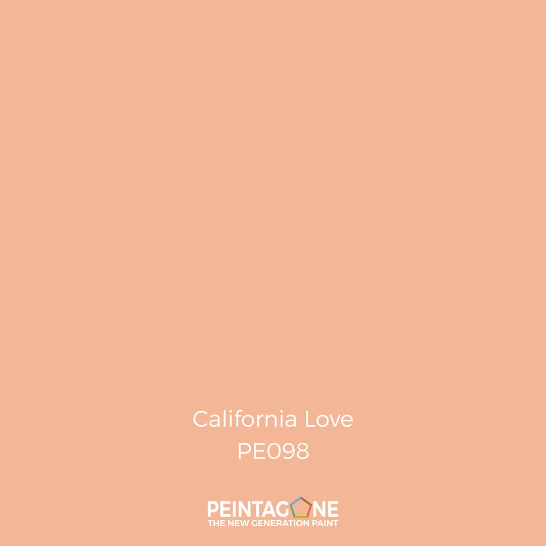 Peinture PEINTAGONE - PE0098 - CALIFORNIA
