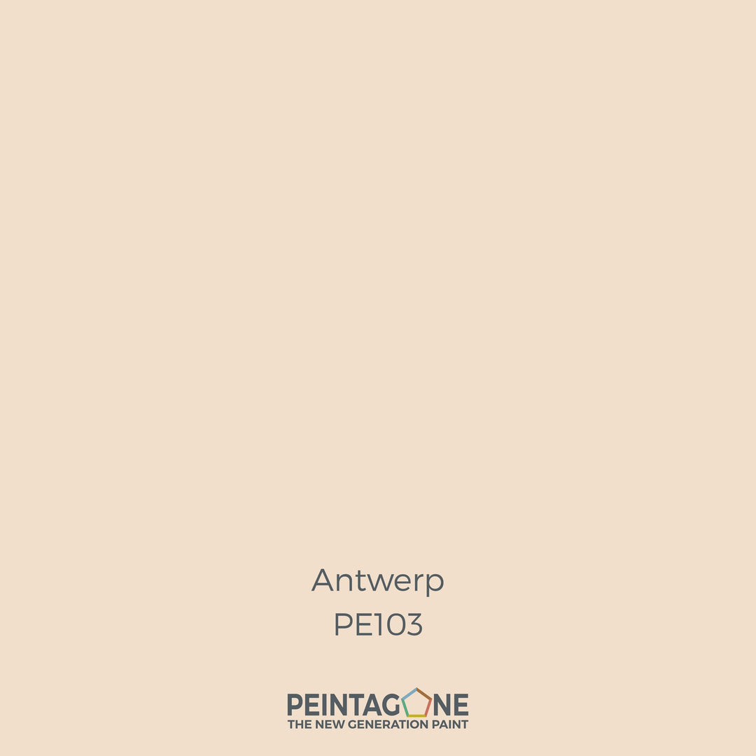 Peinture PEINTAGONE - PE103 - ANTWERP