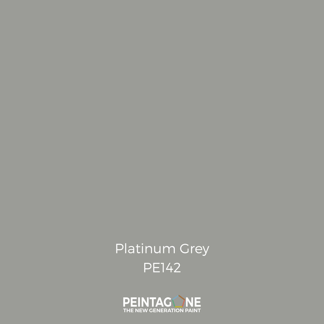 Peinture PEINTAGONE - PE142 - PLATINIUM GREY