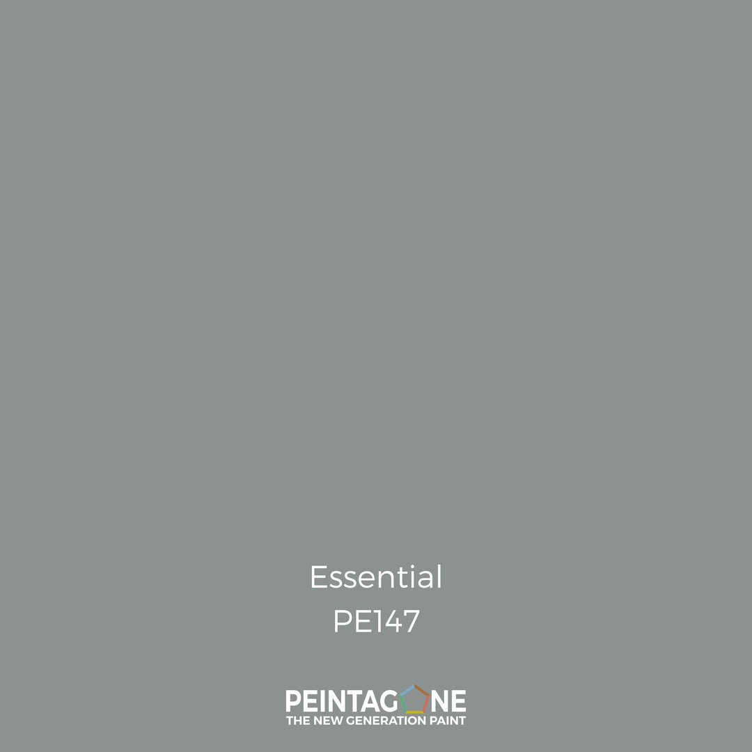 Peinture PEINTAGONE - PE147 - ESSENTIAL