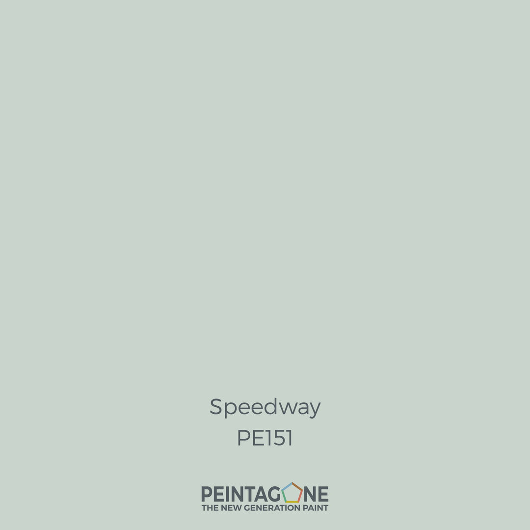 Peinture PEINTAGONE - PE151 - SPEEDWAY