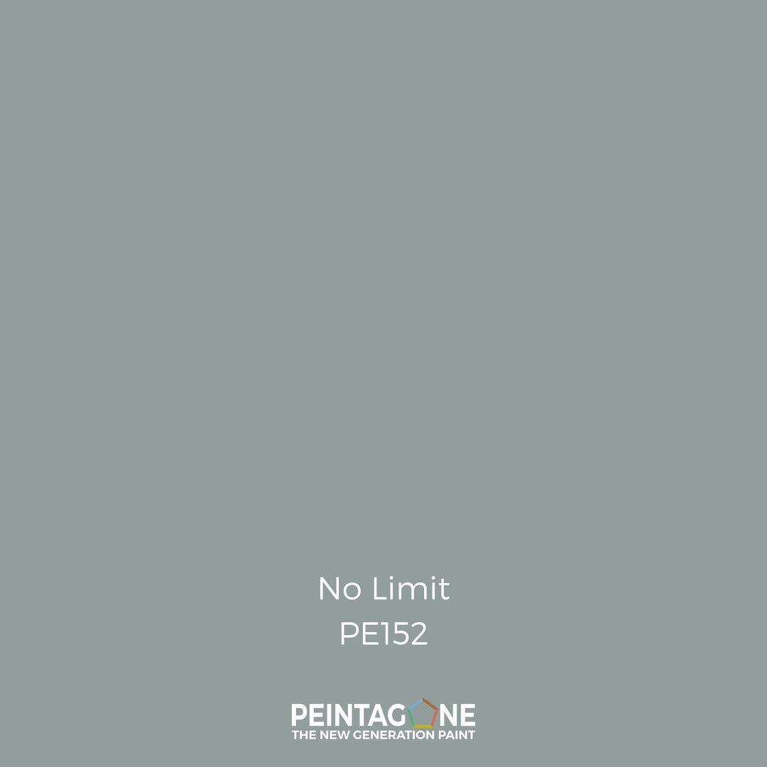 Peinture PEINTAGONE - PE152 - NO LIMIT