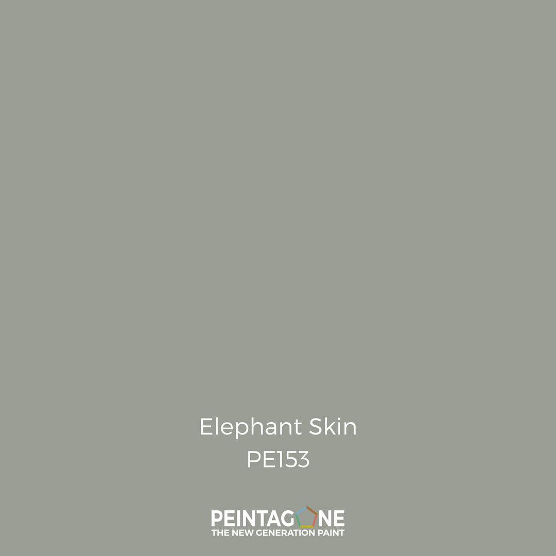 Peinture PEINTAGONE - PE152 - ELEPHANT SKIN