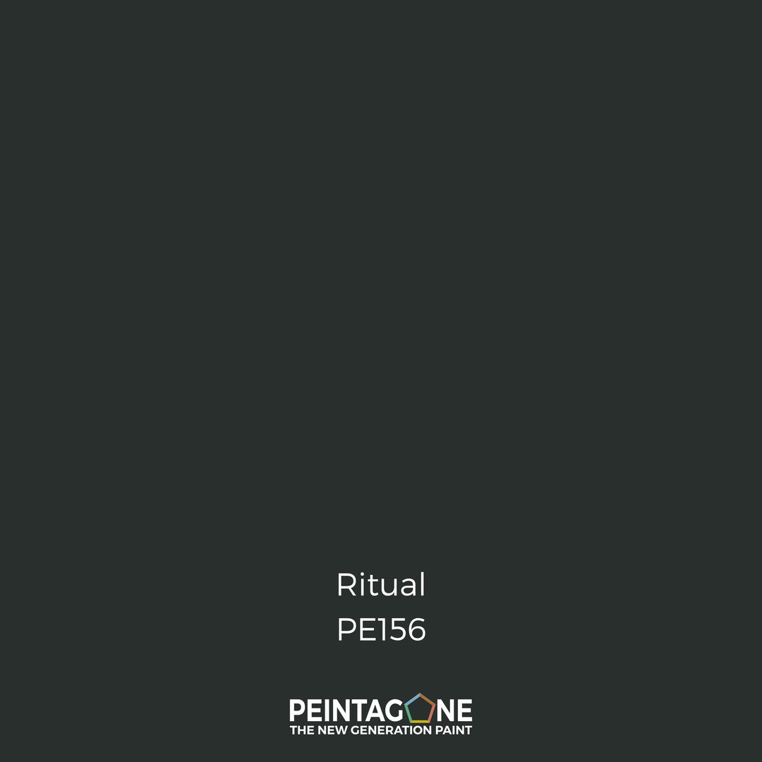 Peinture PEINTAGONE - PE156 - RITUAL