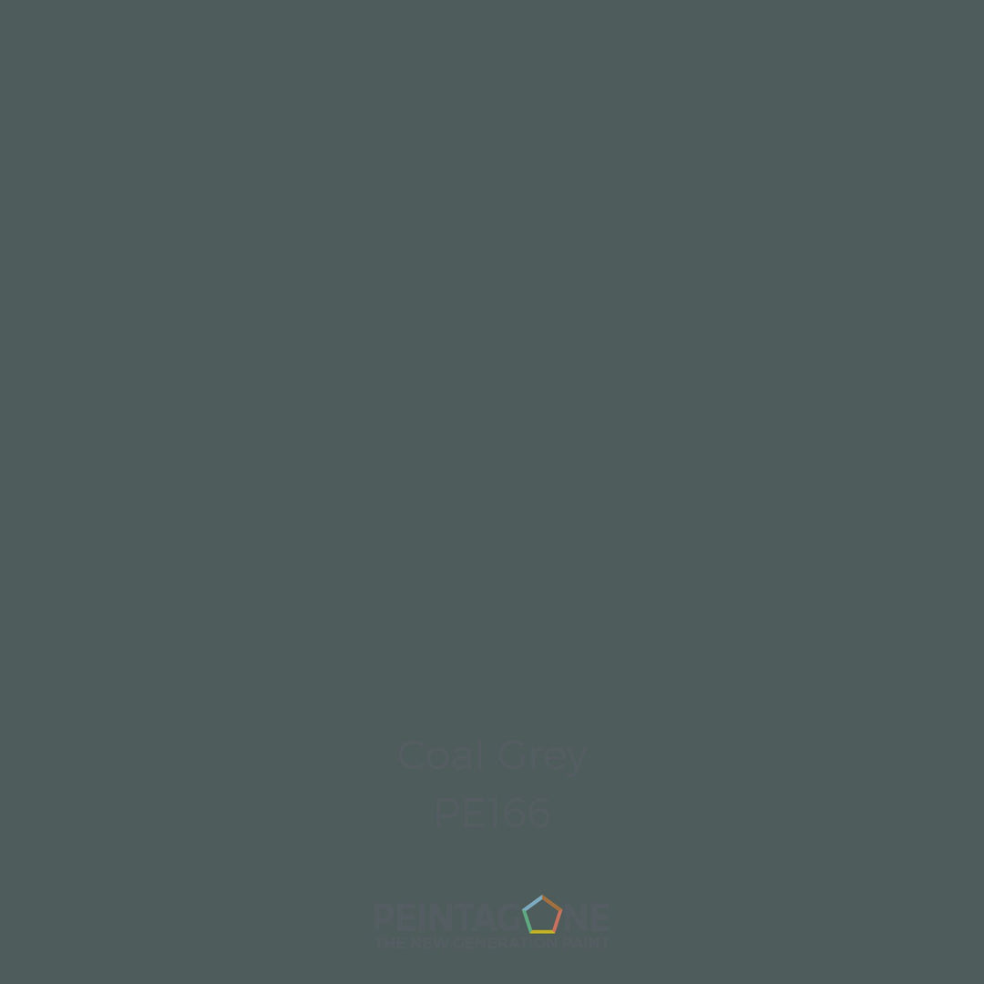 Peinture PEINTAGONE - PE166 - COAL GREY