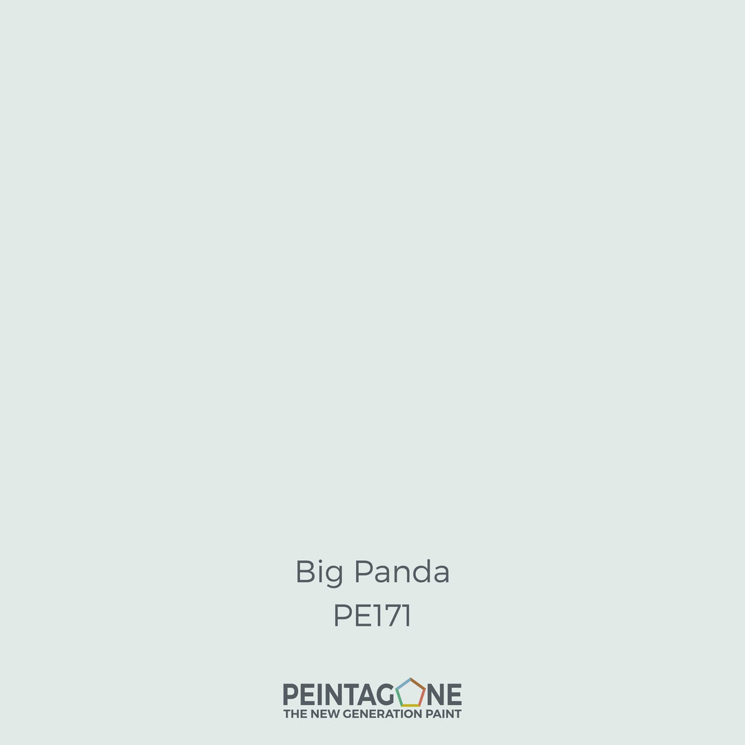 Peinture PEINTAGONE - PE171 - BIG PANDA