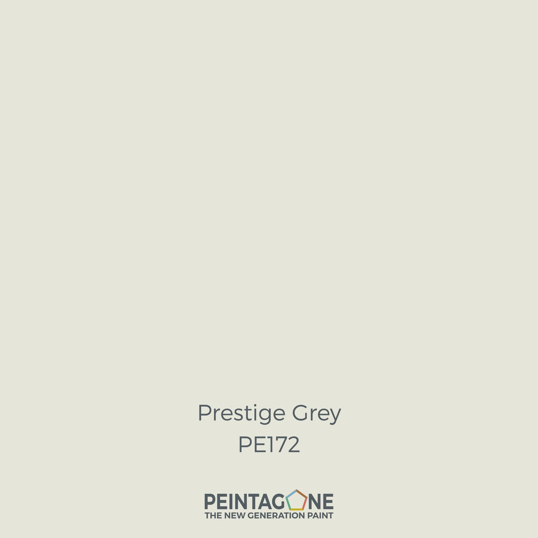 Peinture PEINTAGONE - PE172 - PRESTIGE GREY
