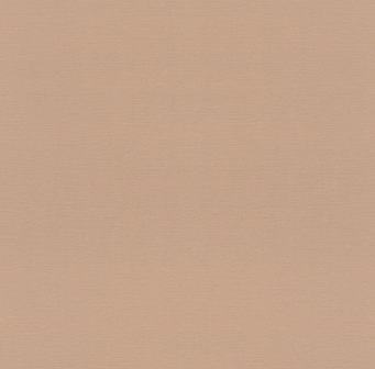 Papier peint - UNI ROSE IRISEE