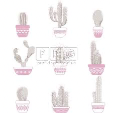 Papier peint - Cactus