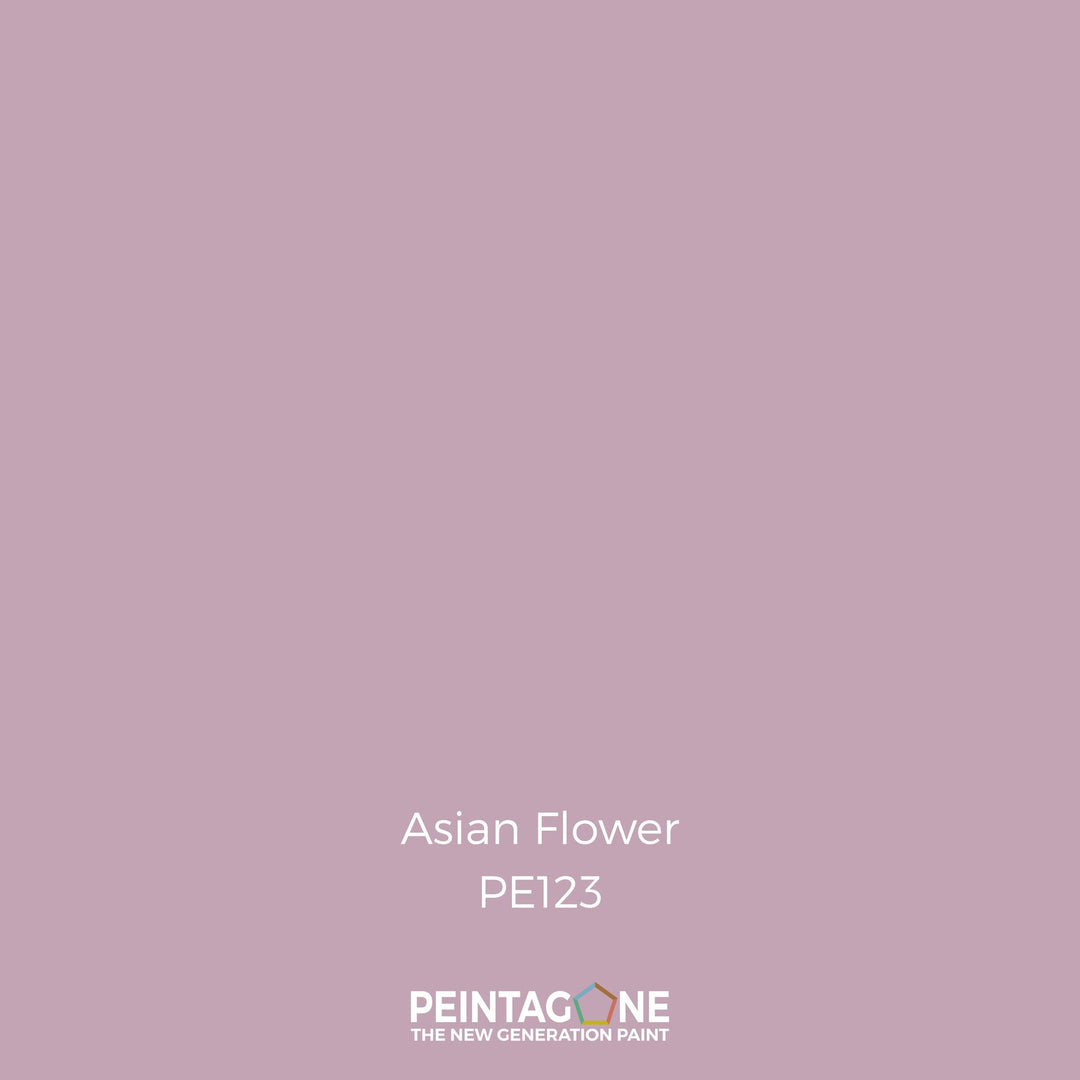 Peinture PEINTAGONE - PE123- ASIAN FLOWER