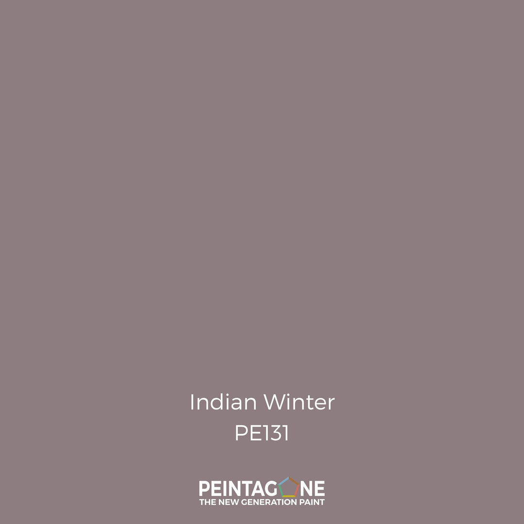 Peinture PEINTAGONE - PE131 - INDIAN WINTER