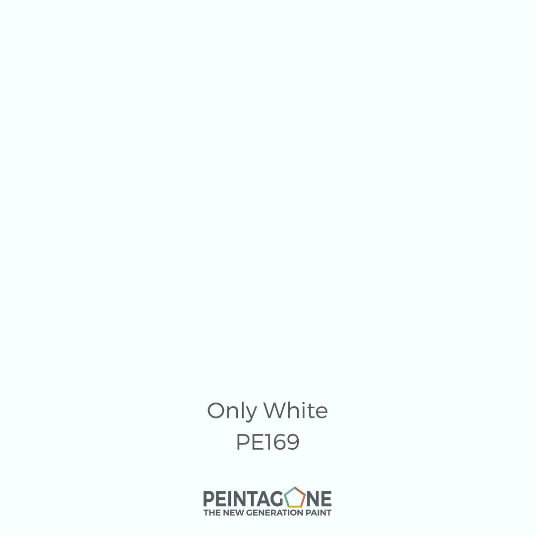 Peinture PEINTAGONE - PE169 - ONLY WHITE